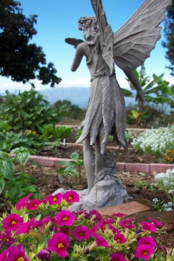 fairyview