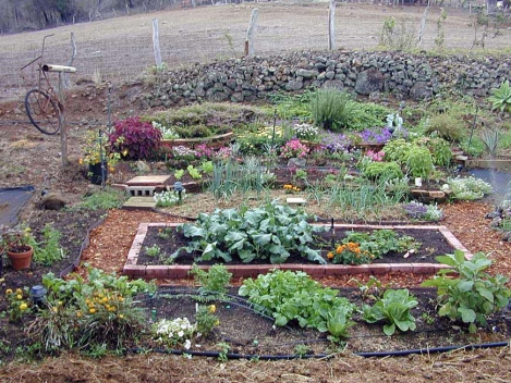 janes-garden-9-16