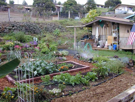 janes-garden-shed-9-16