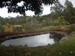 Pond-not-Pond