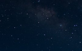 puu-mahoe-11