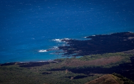 puu-mahoe-3