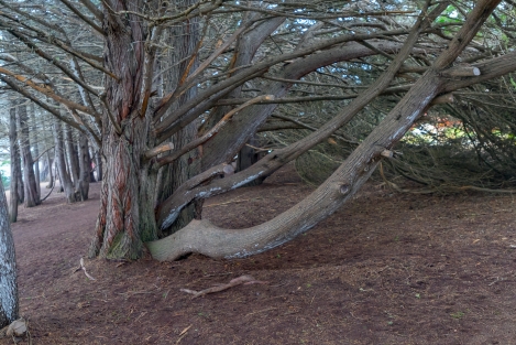 ragged-point-5