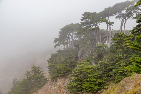 ragged-point-7