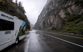 Rainbow to valdez-30