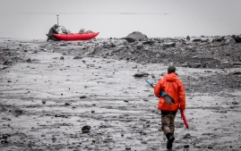 Rainbow to valdez-34