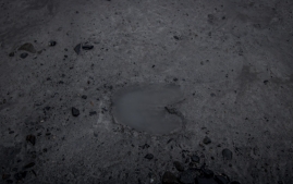 Rainbow to valdez-42