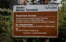 Rainbow to valdez-55