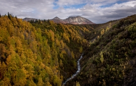 Rainbow to valdez-6