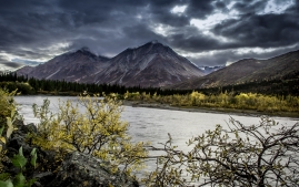 Rainbow to valdez-8
