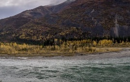 Rainbow to valdez panos