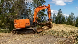 RubberTree-CLEANUP-5