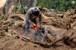 RubberTree-CLEANUP-7