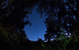 Santa Cruz Night