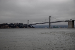 SF23-8