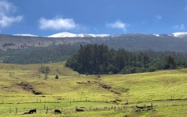 HALEAKALA-SNOW-11FEB19-15