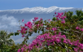 HALEAKALA-SNOW-11FEB19-34