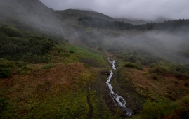 Seward-Fjords-10