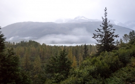 Seward-Fjords-12