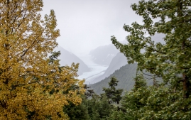 Seward-Fjords-25