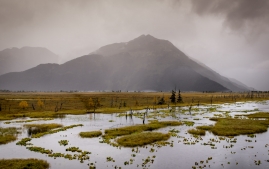 Seward-Fjords-3