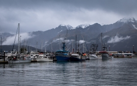 Seward-Fjords-32
