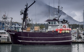 Seward-Fjords-33