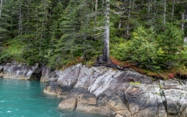 Seward-Fjords-41