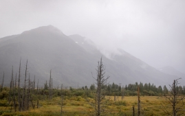 Seward-Fjords-5