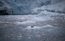 Seward-Fjords-70