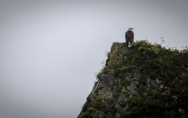 Seward-Fjords-86