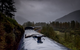 Seward-Fjords-9
