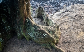 Nahiku-Hana-Kenai-21