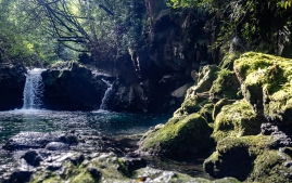 Will-Brittany-East Maui