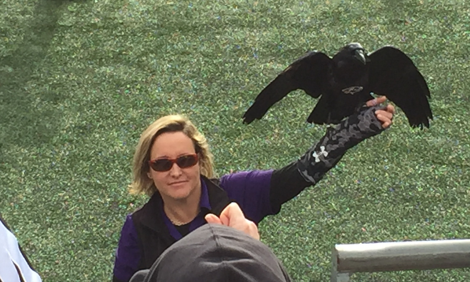 Ravens – Steelers  12/27/15