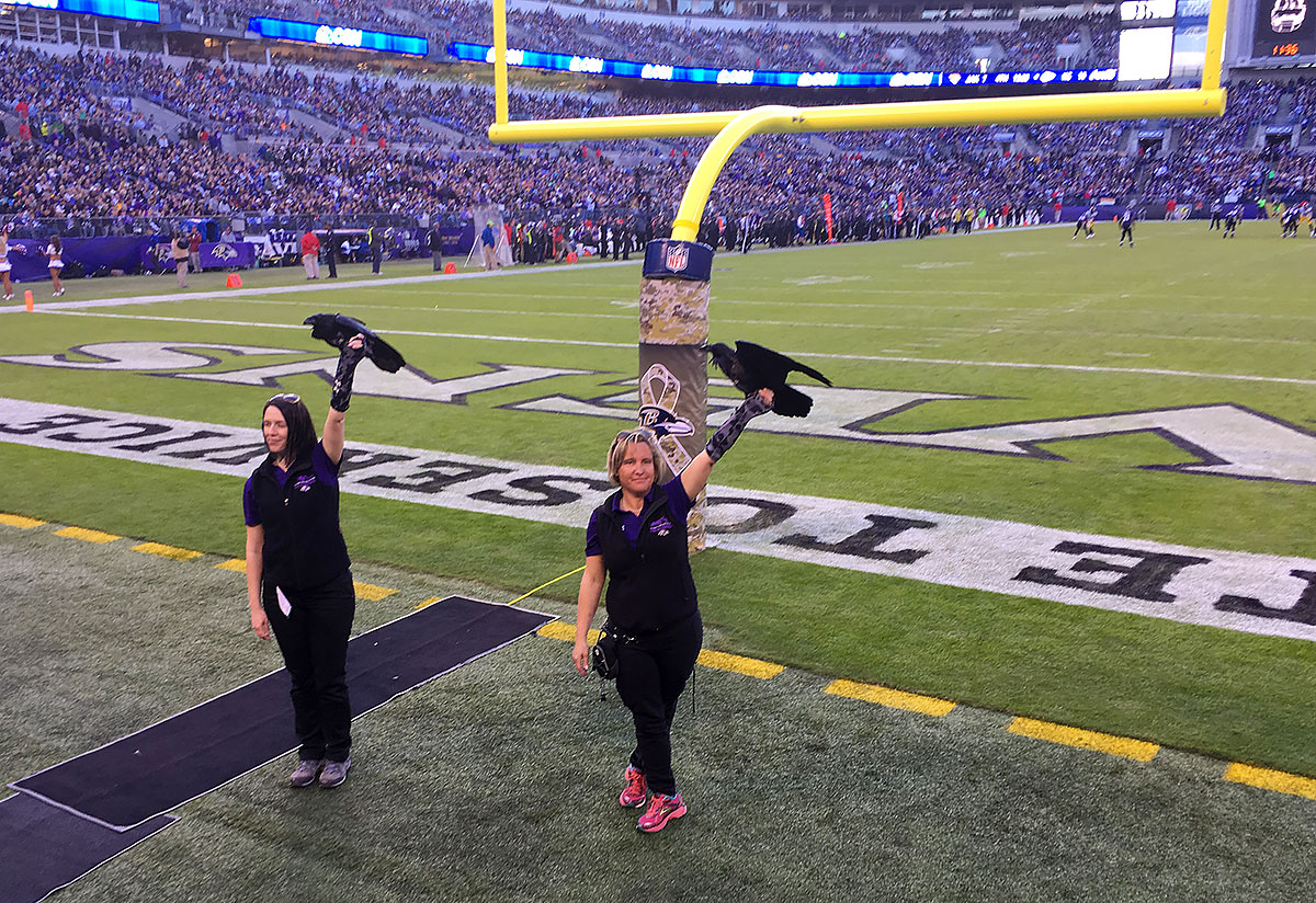 Ravens / Steelers 11/6/16