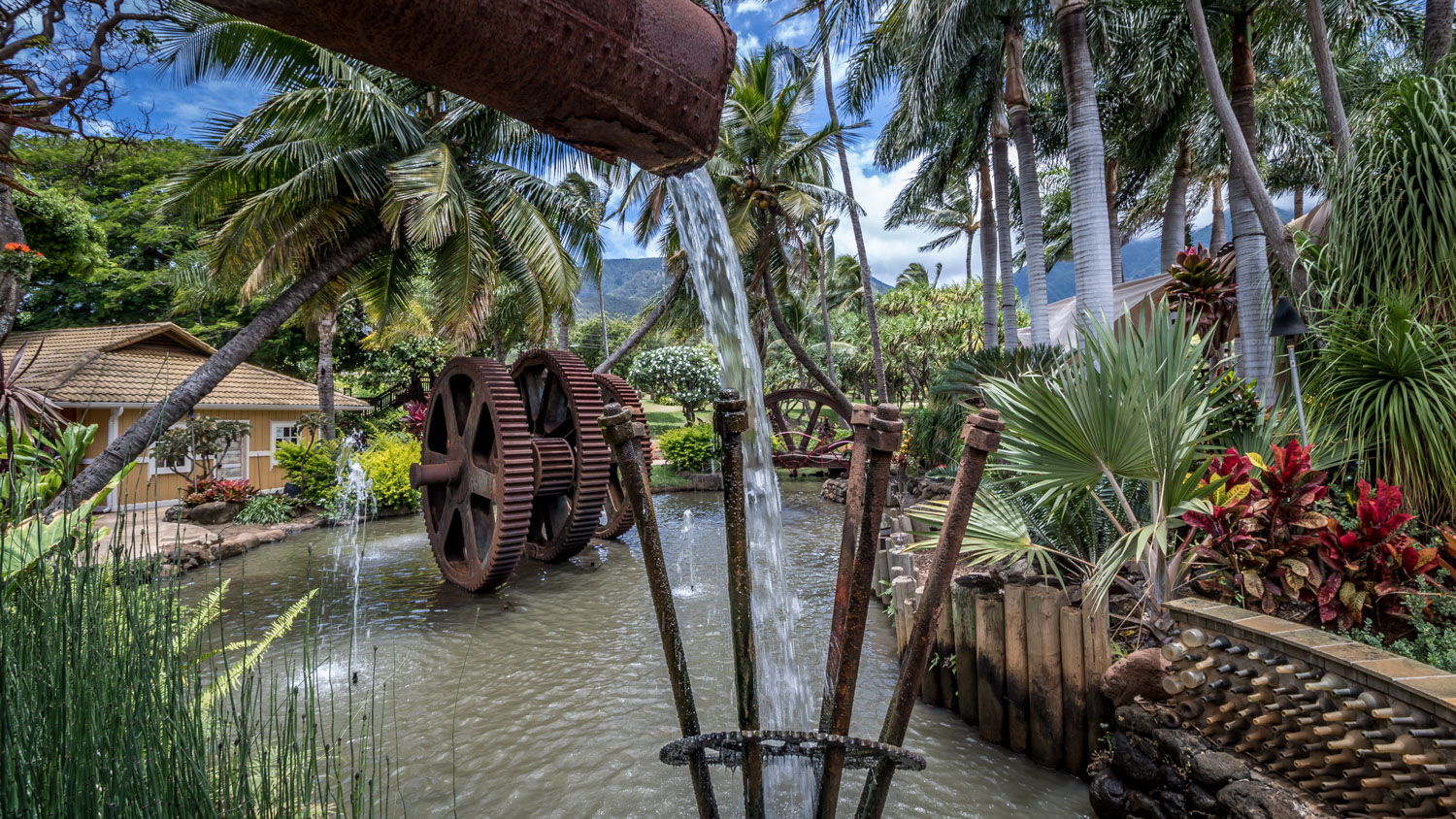 Brian T. Comes to Town