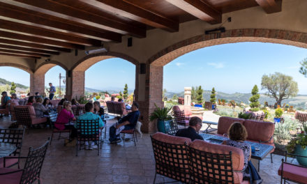 Daou Winery and Carmel’s storied 17 Mile Drive