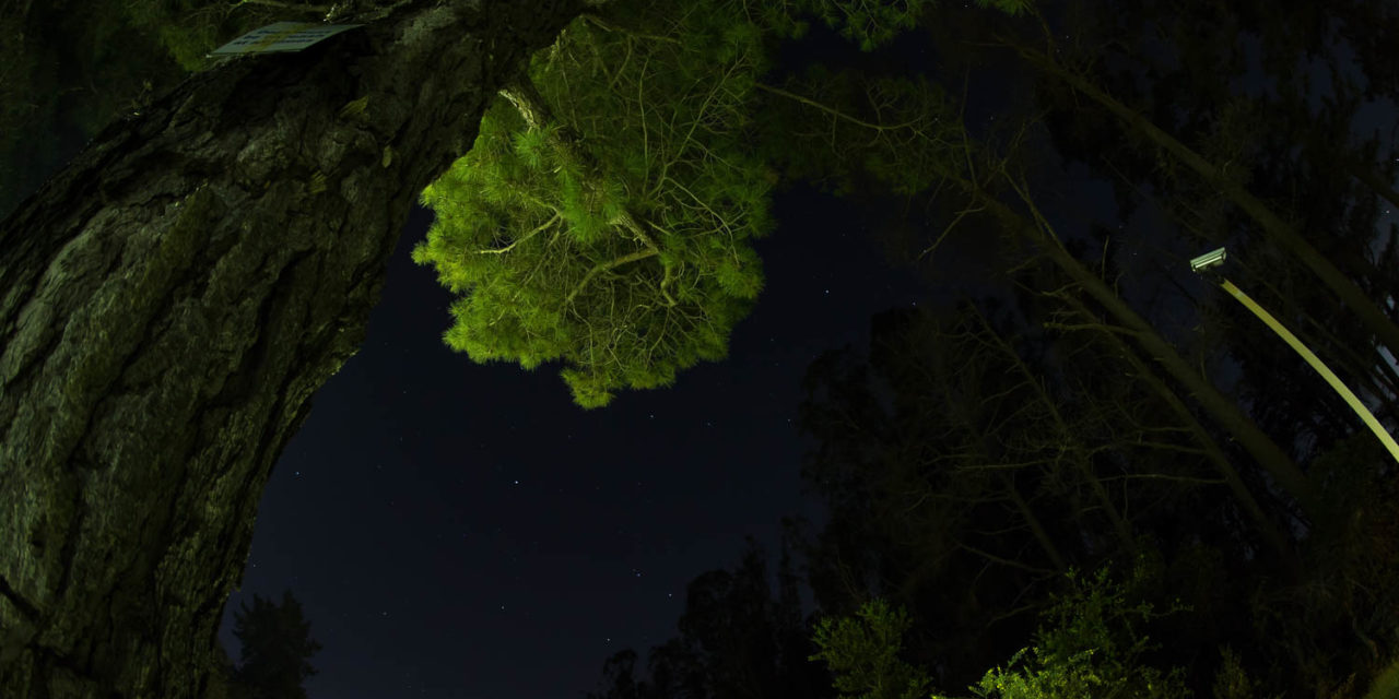 Meteor Hunting @ Chamanade