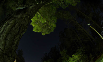 Meteor Hunting @ Chamanade