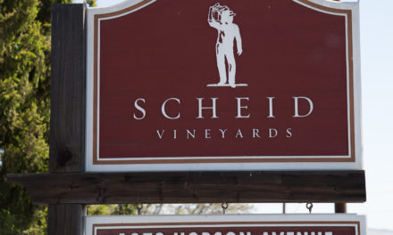 Scheid Winery
