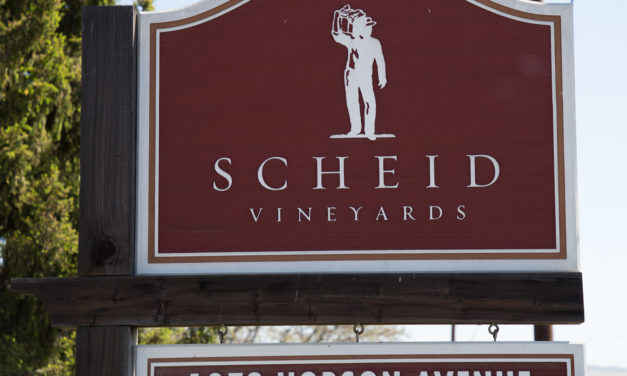 Scheid Winery