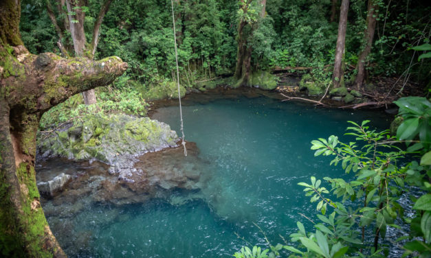 Will & Brittany -East Maui Visit