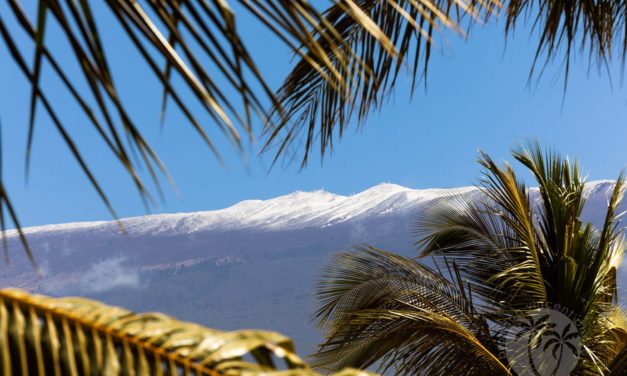 Snow Has Fallen in a Hawaii at Perhaps the Lowest Elevation in History!