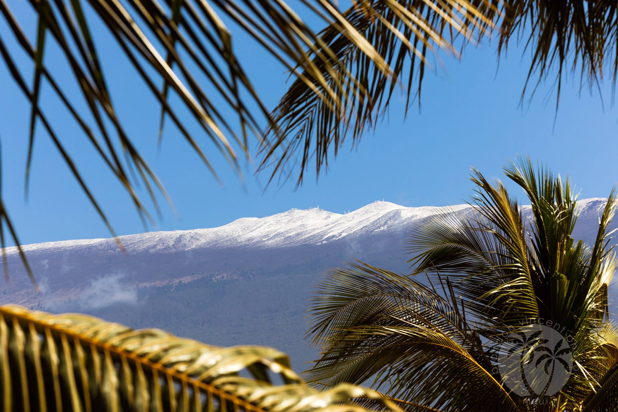 Snow Has Fallen In A Hawaii At Perhaps The Lowest Elevation In History ...