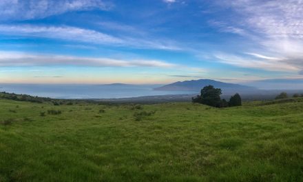 Thompson Ranch Road -a great escape from the news