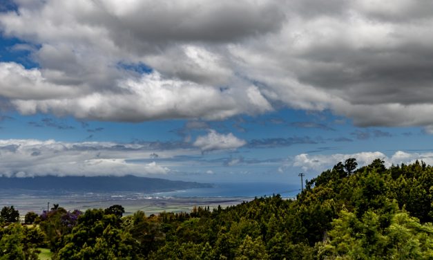 Another sunny day on Maui