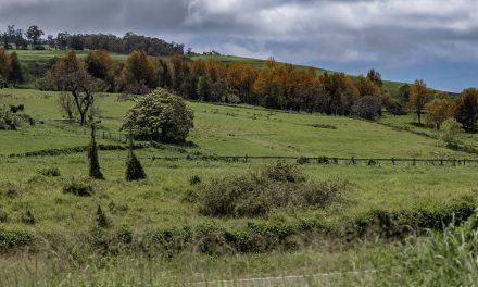 Getting out of the house