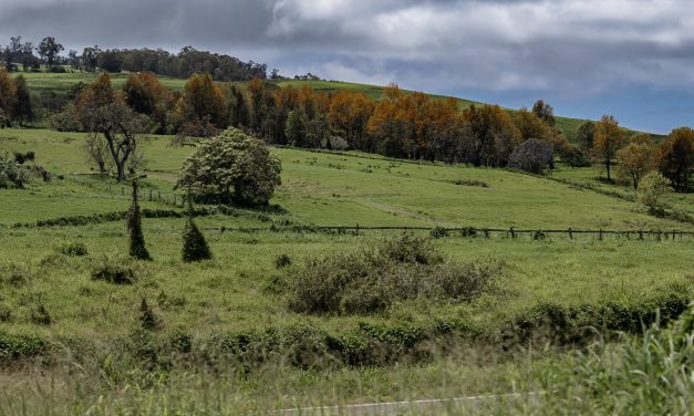 Getting out of the house