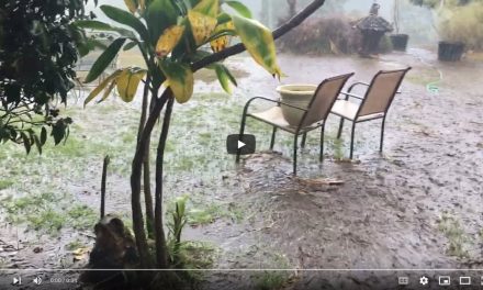 3″ of rain in 45 Minutes can be a bitch in the dining room!